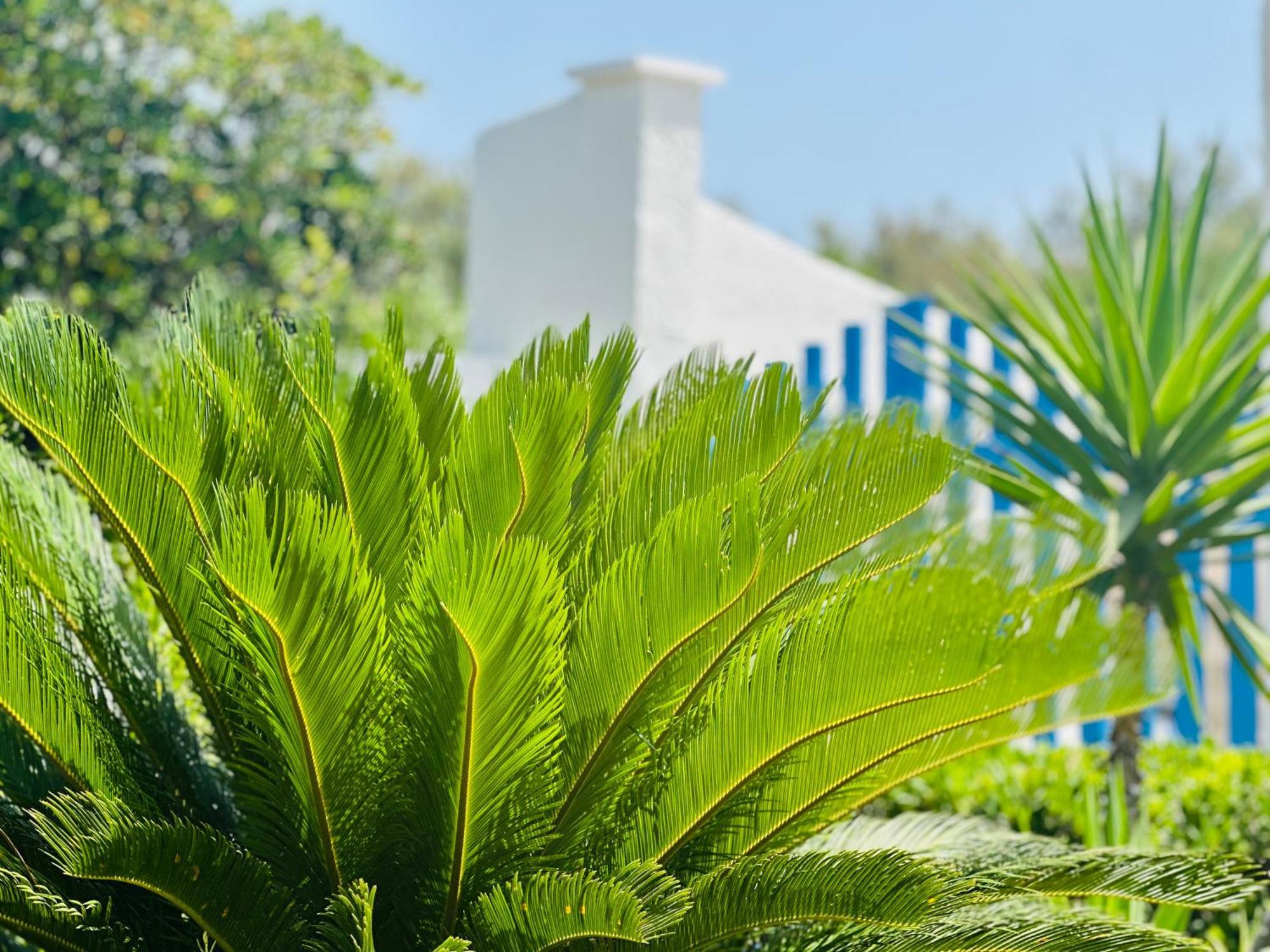 Villa Casa Loca Del Mar *